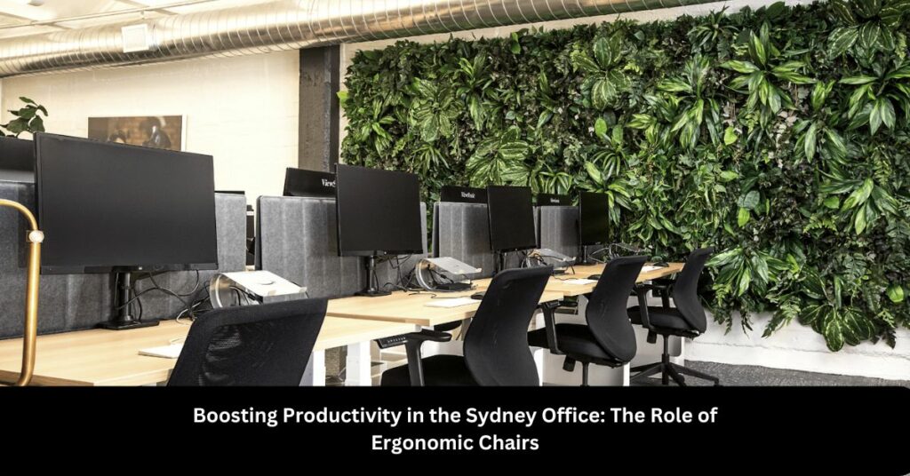 Boosting Productivity in the Sydney Office The Role of Ergonomic Chairs