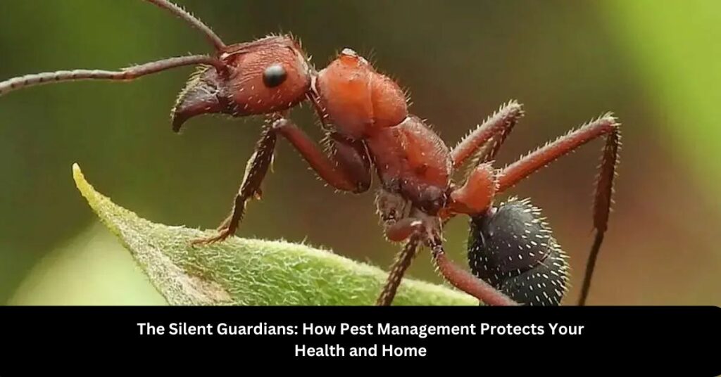 The Silent Guardians How Pest Management Protects Your Health and Home