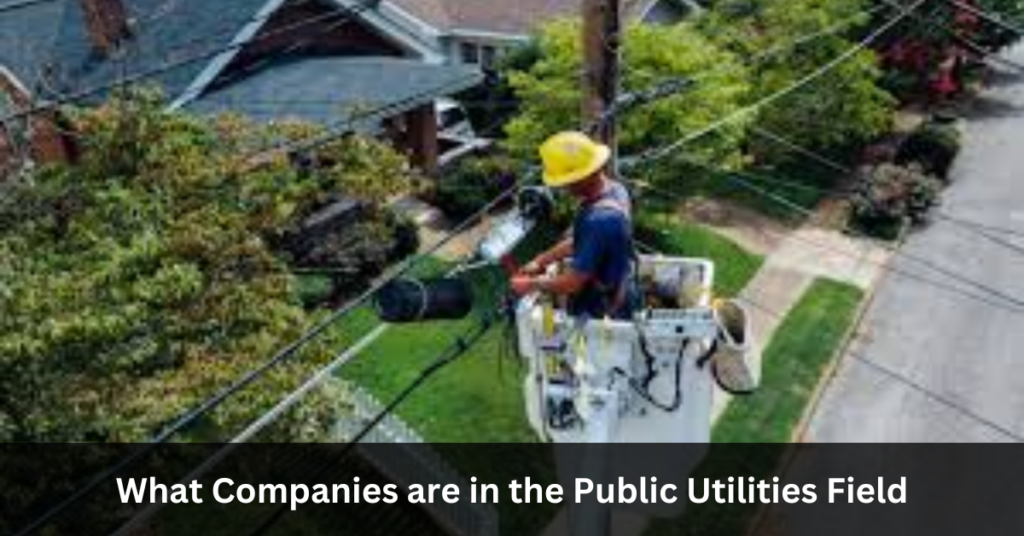 What Companies are in the Public Utilities Field